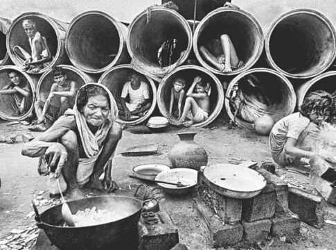 ইলিশ: মুক্তিযুদ্ধের পর পদ্মায় এক নতুন দৃশ্য