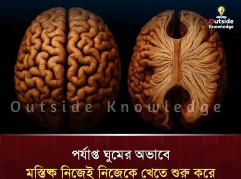 ঘুমের অভাব: মস্তিষ্কের নীরব ধ্বংসযজ্ঞ