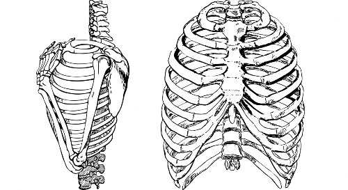 ইসলামে ব্যাখ্যা