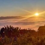 ইখাইতং ভ্যালি: আলীকদম বান্দরবানে একটি অবিস্মরণীয় প্রাকৃতিক অভিজ্ঞতা