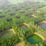 ভালোবাসার এক অনন্য উপাখ্যান: রানির সুস্থতায় রাজা খনন করেছিলেন ৩৬৫ পুকুর!