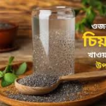 চিয়া সিড ও মুগ ডালের হাই-ক্যালোরি কম্বিনেশন — সুস্থভাবে ওজন বাড়ানোর আধুনিক ‘সিস্টেম’