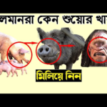 আল্লাহ কেন শুকর সৃষ্টি করেছেন? ধর্ম, বিজ্ঞান ও ইতিহাসের আলোকে এক বিশেষ বিশ্লেষণ