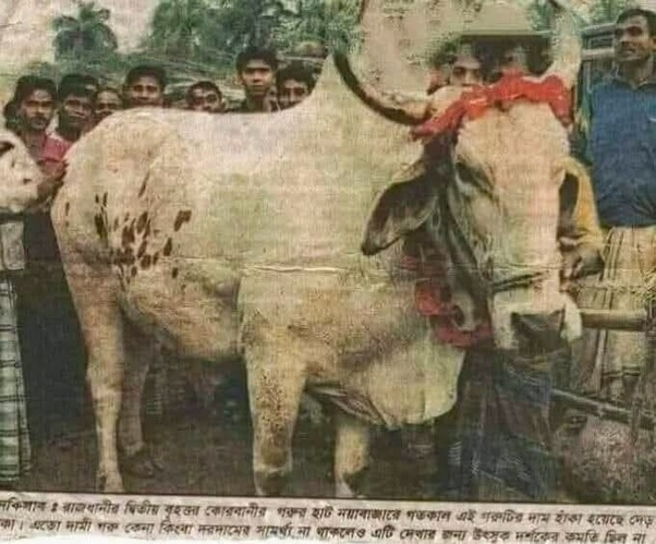 ২৫ বছরে মানুষের উন্নতি নাকি অবৈধ অর্থ উপার্জন