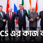কূটনৈতিক চালের জয়: ব্রিকস (BRICS) জোটে কেন স্থান পেল না পাকিস্তান? জানুন নেপথ্যের ভূরাজনীতি