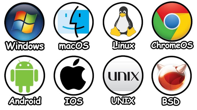 Operating System